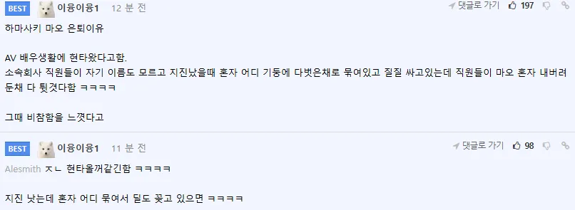 AV배우 하마사키 마오 은퇴 이유를 설명하는 온라인 커뮤니티 게시글 캡처