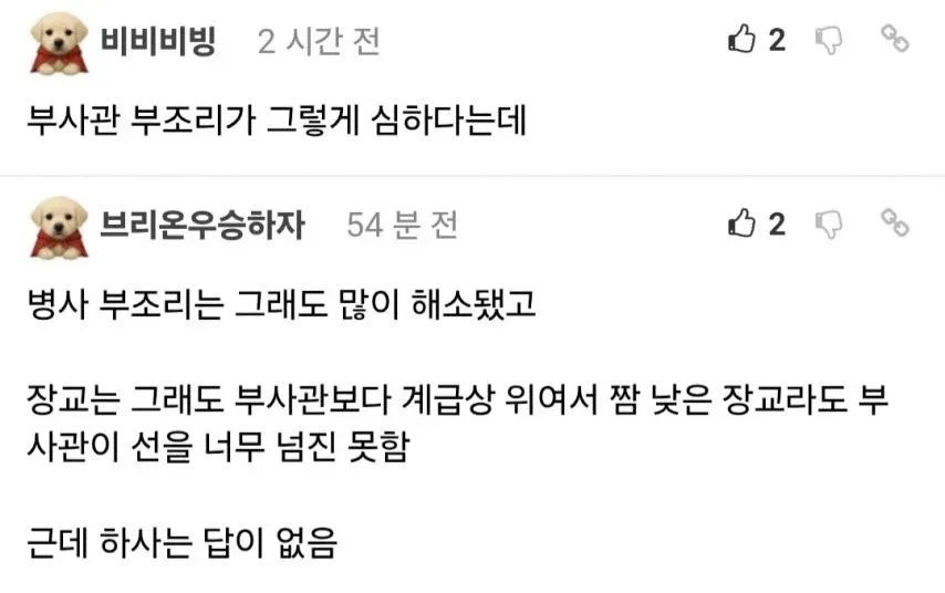 군대 계급별 부조리 상황을 설명하는 텍스트, 하사의 어려운 위치 언급