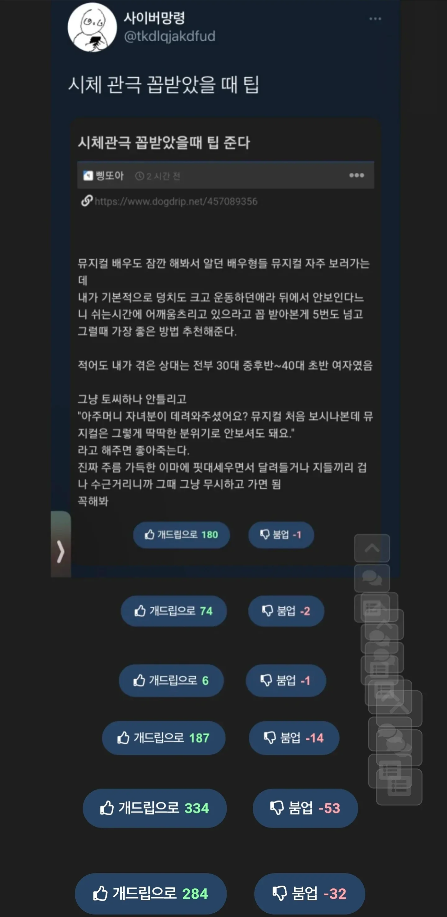 뮤지컬 관람 중 뒷사람 시야 방해 지적받았을 때 대응법 공유 트윗