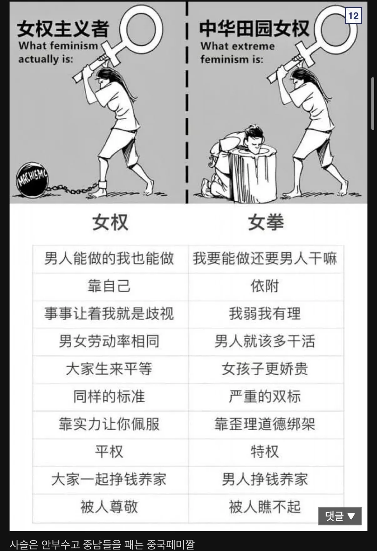중국 페미니즘과 극단적 페미니즘을 비교하는 표 형식의 밈 이미지