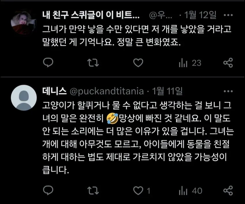 아이가 대형견 위에 올라타 있는 논란의 사진