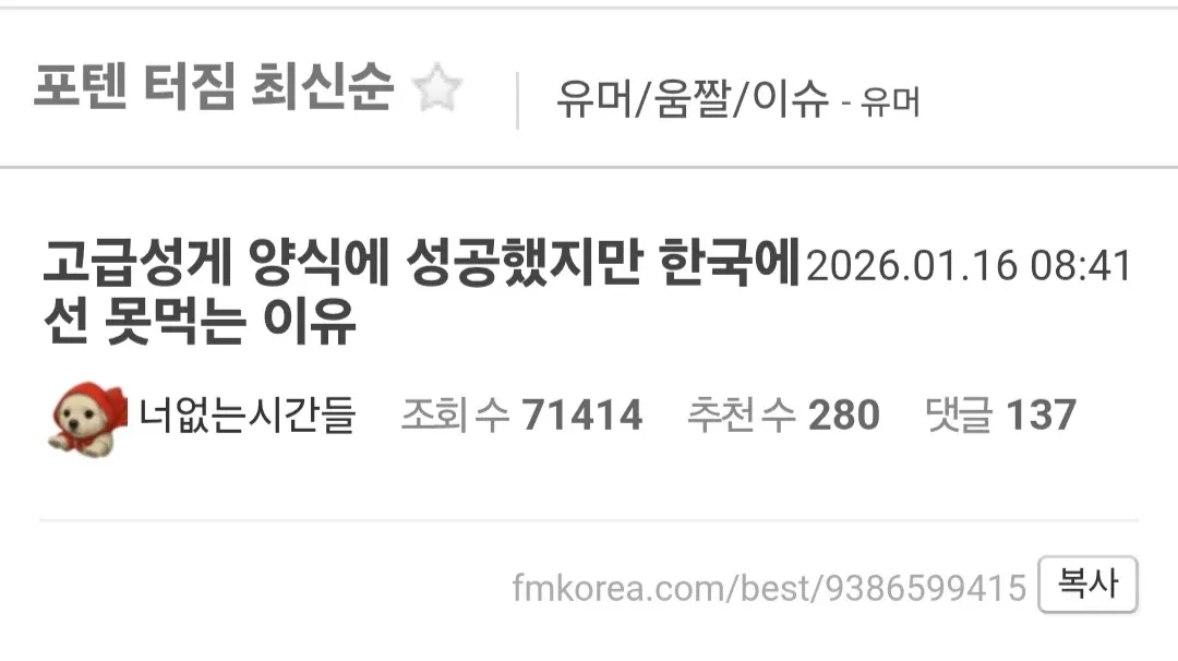 고급 성게 양식 성공에도 한국에서 먹지 못하는 이유를 설명하는 썸네일