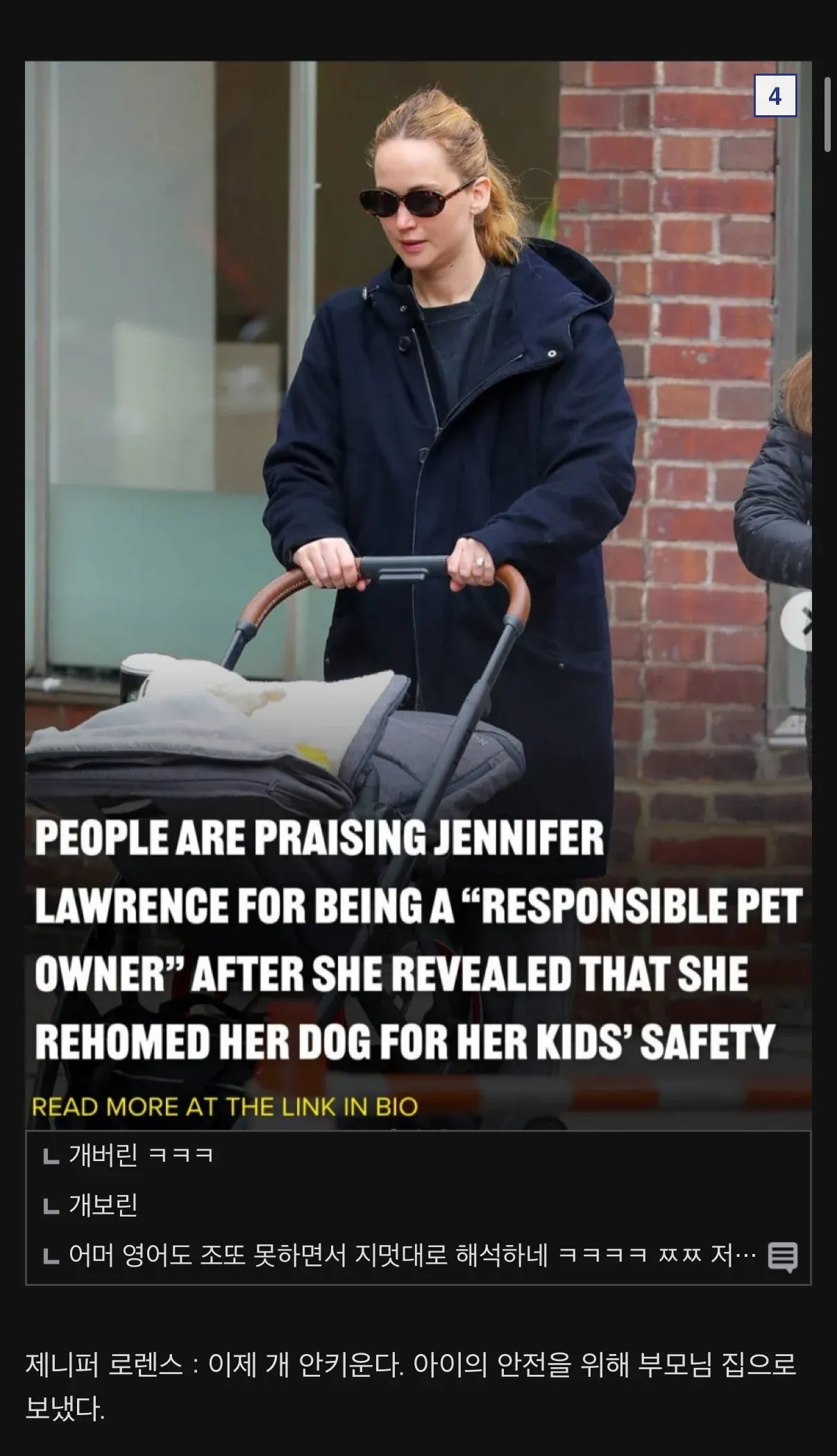 제니퍼 로렌스의 반려견 재입양 뉴스와 한국 네티즌 반응 댓글 캡처