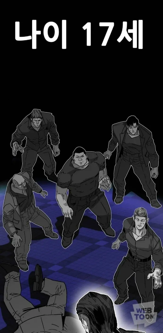 17세라고 적힌 나이 표시, 위아래 5년을 제패했다는 밈 이미지