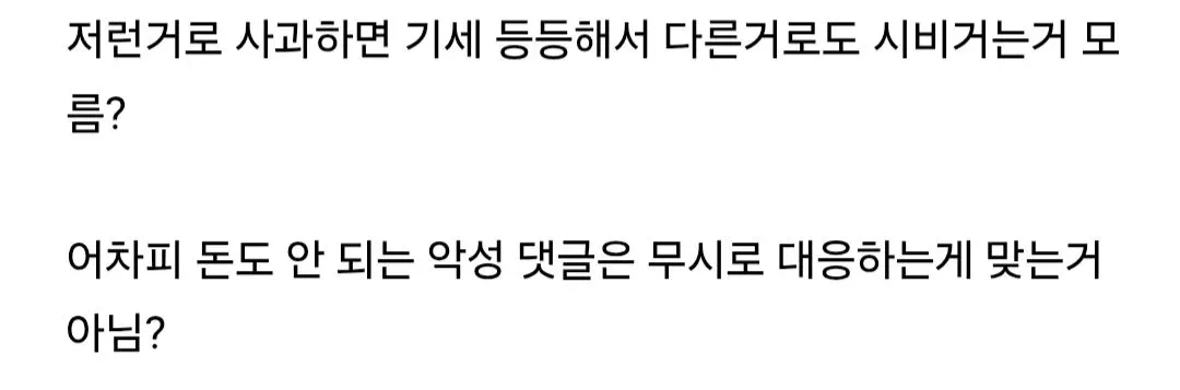 유튜버의 사과에 대해 비판하는 댓글 캡처 화면