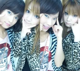 일본의 UN 가입 시도를 나타내는 문서 또는 이미지