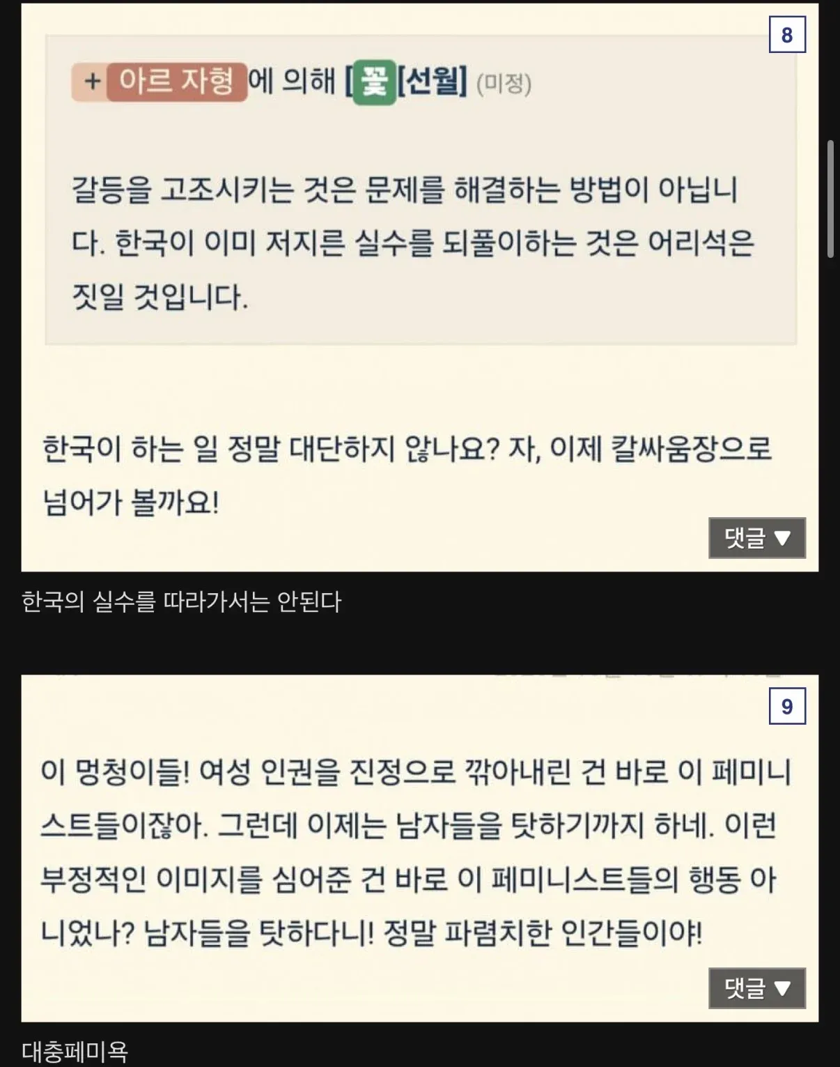 한국 페미니즘을 비판하는 중국어 커뮤니티 게시글 스크린샷