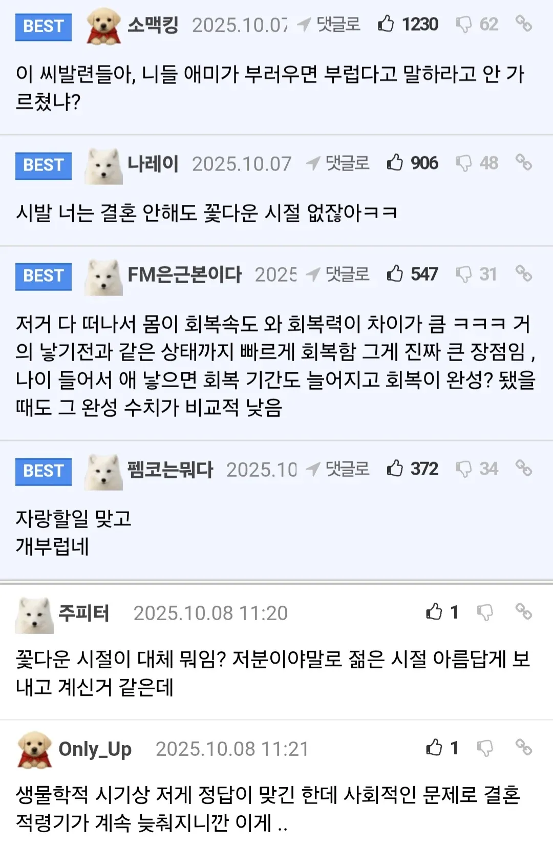 21살 조기 결혼·출산에 대한 온라인 커뮤니티 댓글 토론 캡처