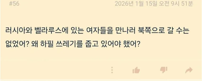 중국 남초 커뮤니티에서 페미니즘을 조롱하는 댓글 캡처