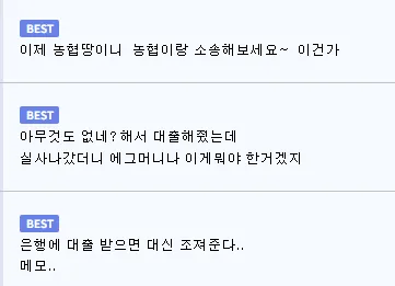 무단점거 땅을 은행 담보 대출로 해결하는 방법을 설명하는 텍스트 게시물