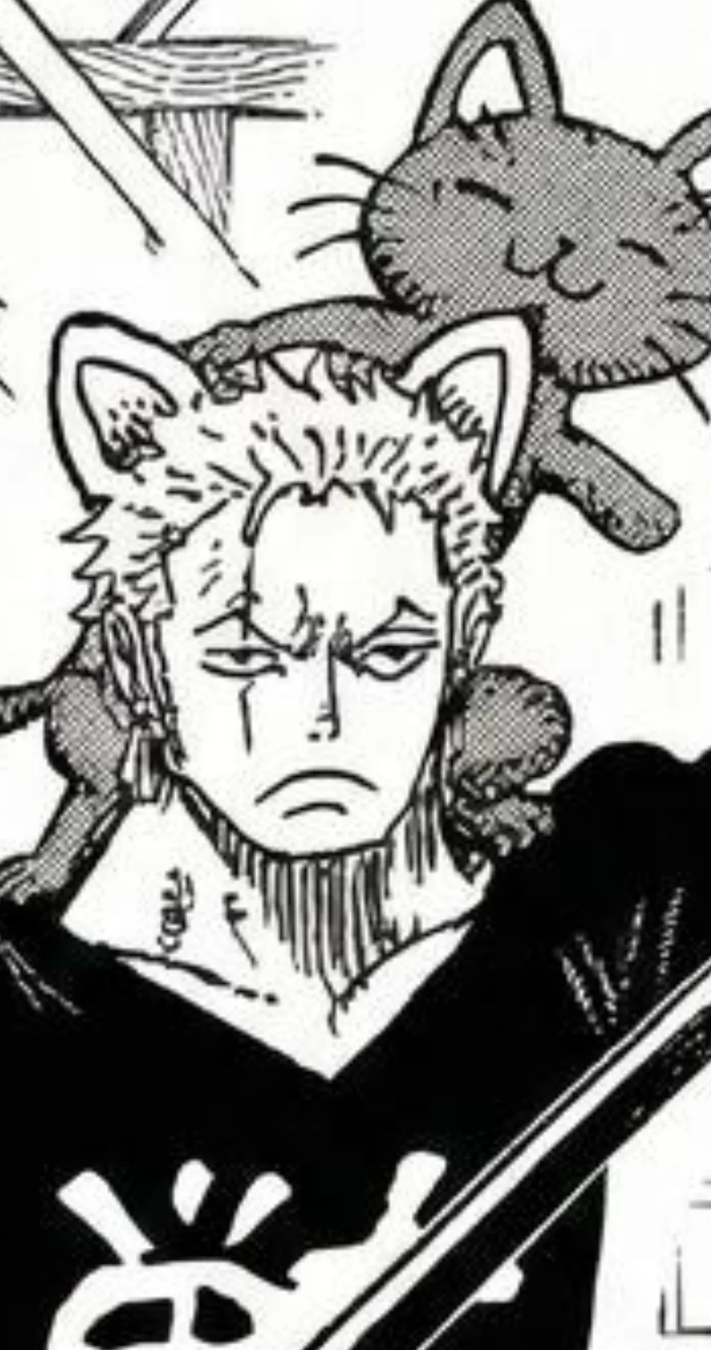 한쪽 눈에 흉터가 있는 녹색 머리 검객 조로의 얼굴 클로즈업