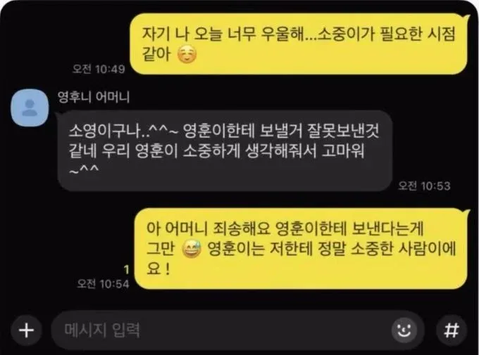 우울하다며 애칭으로 보낸 카톡이 남자친구 어머니에게 잘못 전송된 대화 캡처