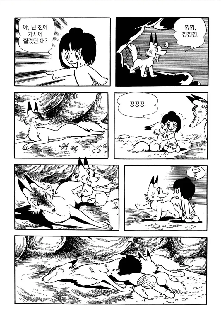 가시에 찔렸던 것을 기억하며 낑낑거리는 귀여운 아기늑대