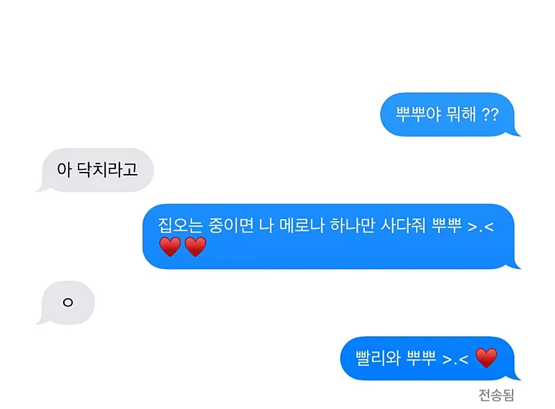 남매 카톡 대화: 동생이 메로나 사달라고 부탁하자 "닥치라고" 답하는 형제