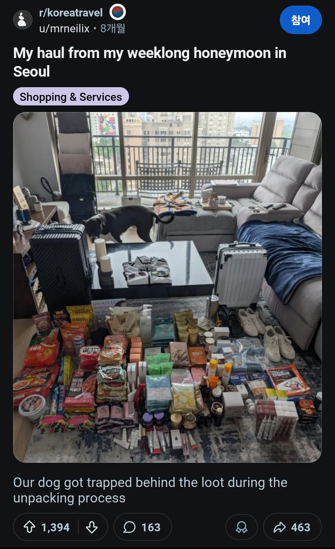 한국 신혼여행 기념품 더미 뒤에 갇힌 강아지