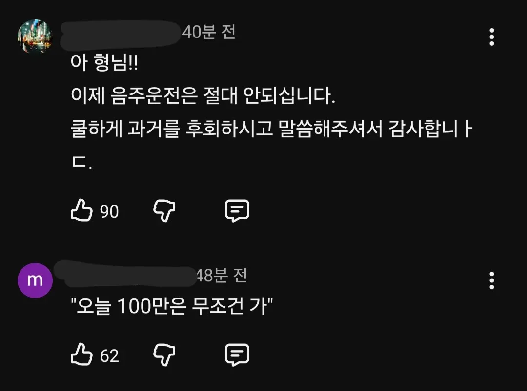 임성근 유튜브 영상에 달린 음주운전 언급 및 100만 응원 댓글