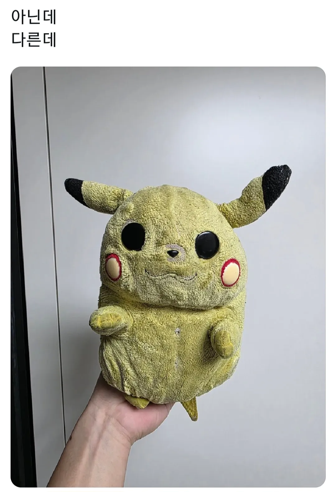 흰색 강아지 인형이 유리문에 얼굴을 바짝 붙이고 안을 들여다보는 모습