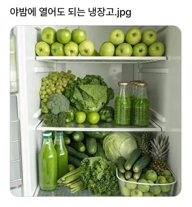 야밤에 열어도 되는 냉장고라고 적힌 유머 이미지