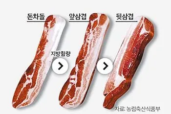 돈차돌, 앞삼겹, 뒷삼겹의 지방함량 비교 인포그래픽