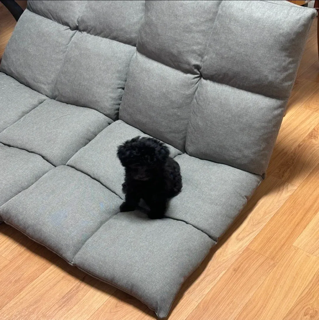 당근마켓에서 구매한 은밀한 취미용품들을 소개하는 유튜브 썸네일