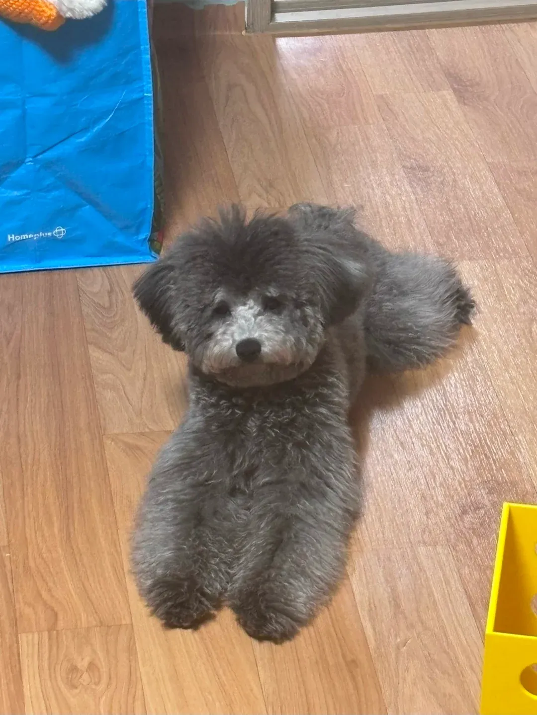 당근마켓에서 레고 취미용품을 거래하는 채팅 화면 캡처