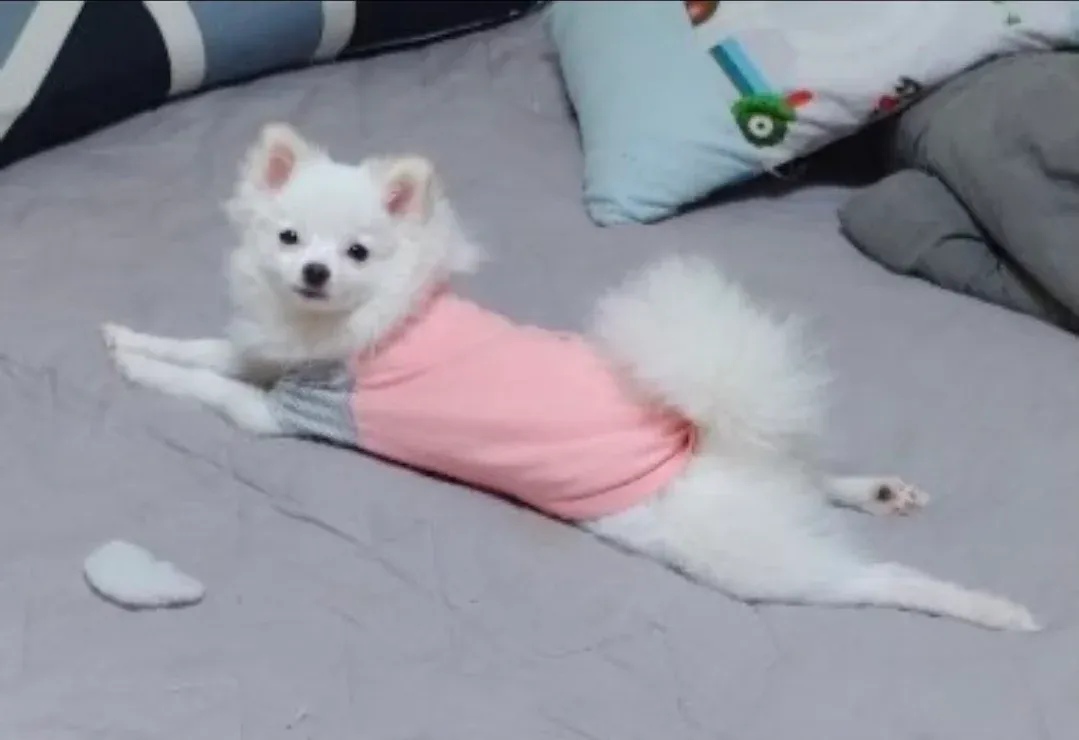 '스 에'라고 적힌 손글씨 메모 또는 카드