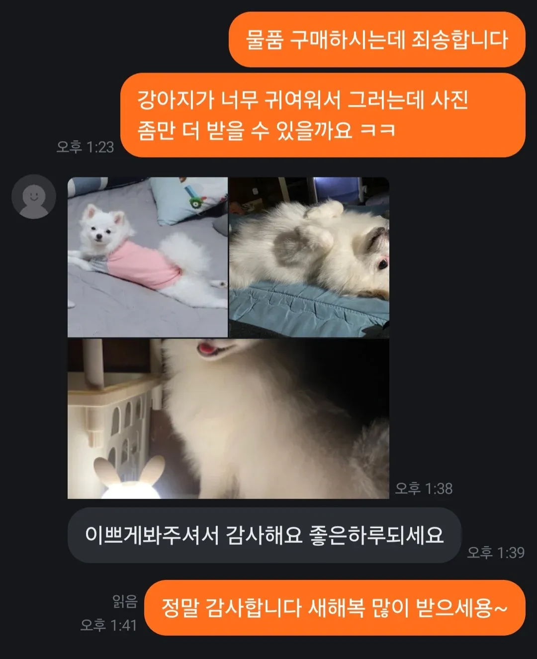 당근마켓에서 물건 구매 중 강아지 사진을 더 요청하는 대화 캡처