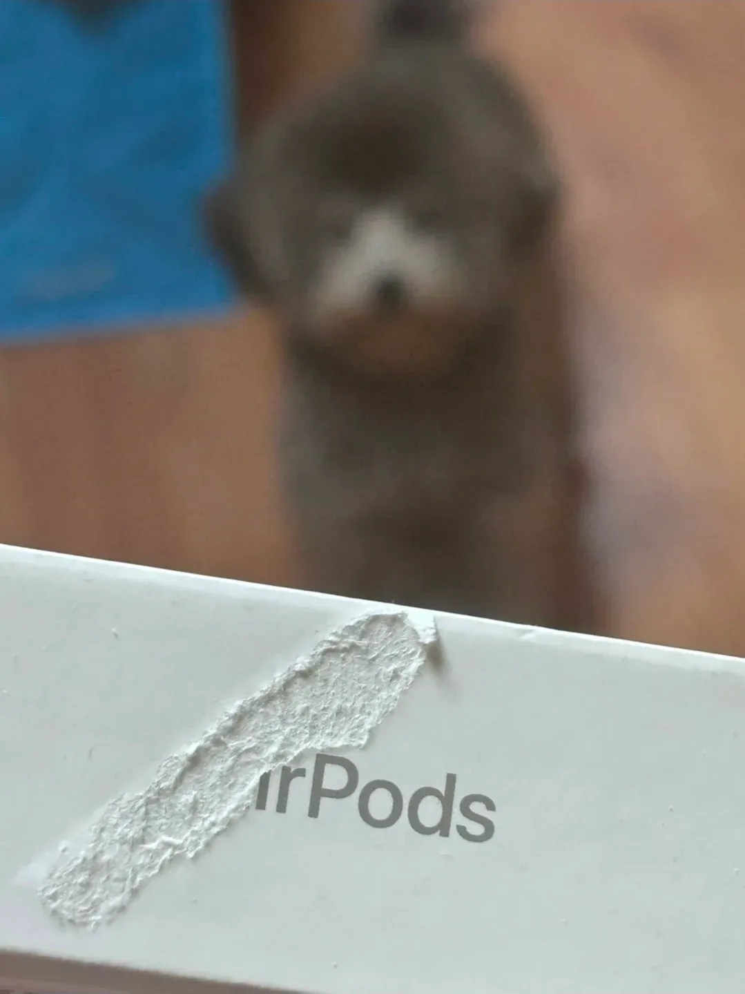 에어팟 케이스를 들고 있는 손, 'irPods' 텍스트가 보이는 이미지