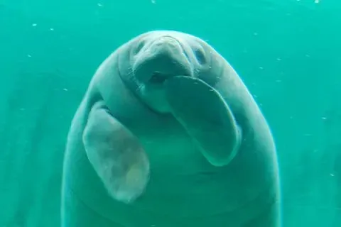 아들에게 24년간 거짓말했다는 내용의 텍스트가 담긴 이미지