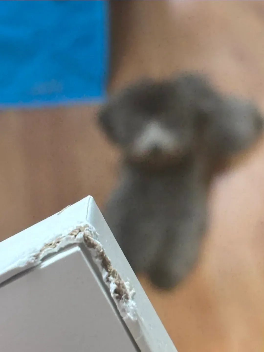 손가락으로 숫자 2를 표시하는 손 모양 아이콘