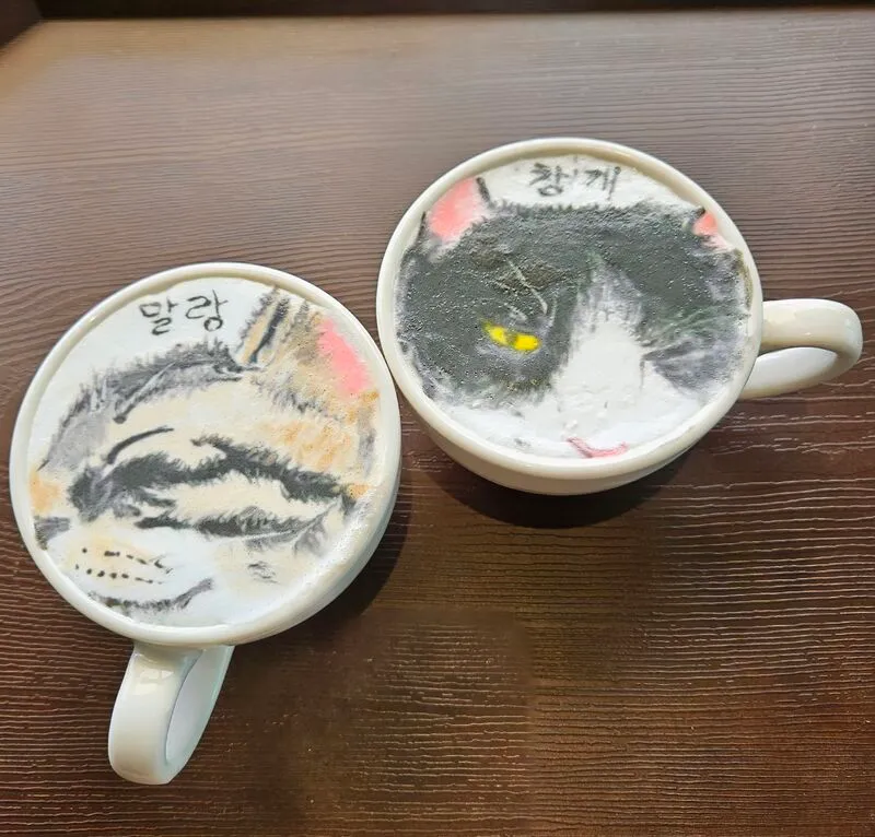 고양이를 버리자던 남편이 고양이와 함께 잠든 모습