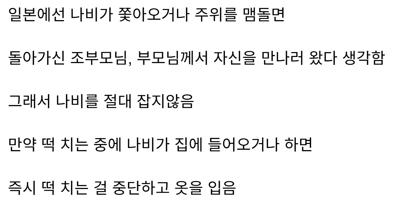 일본에서 나비를 잡지 않는 이유를 설명하는 텍스트 이미지