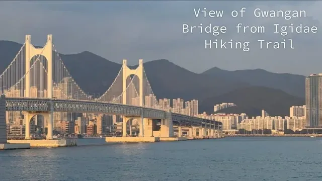 Gwangan Bridge lit up at night seen from Igidae trail in Busan