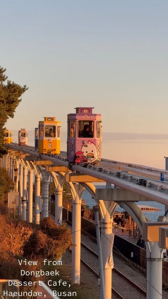 해운대 동백 디저트 카페에서 바라본 부산 해안 풍경
