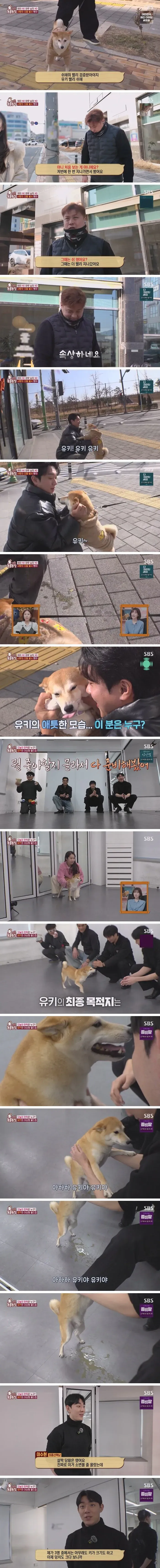 훈남 경비원에게 달려가 애교 부리고, 여자에게는 시큰둥한 시바견