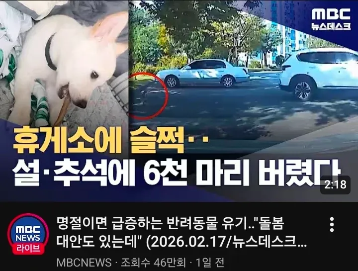 `휴게소에 버려진 반려동물, 명절마다 급증하는 유기 문제를 다룬 뉴스 보도 화면`