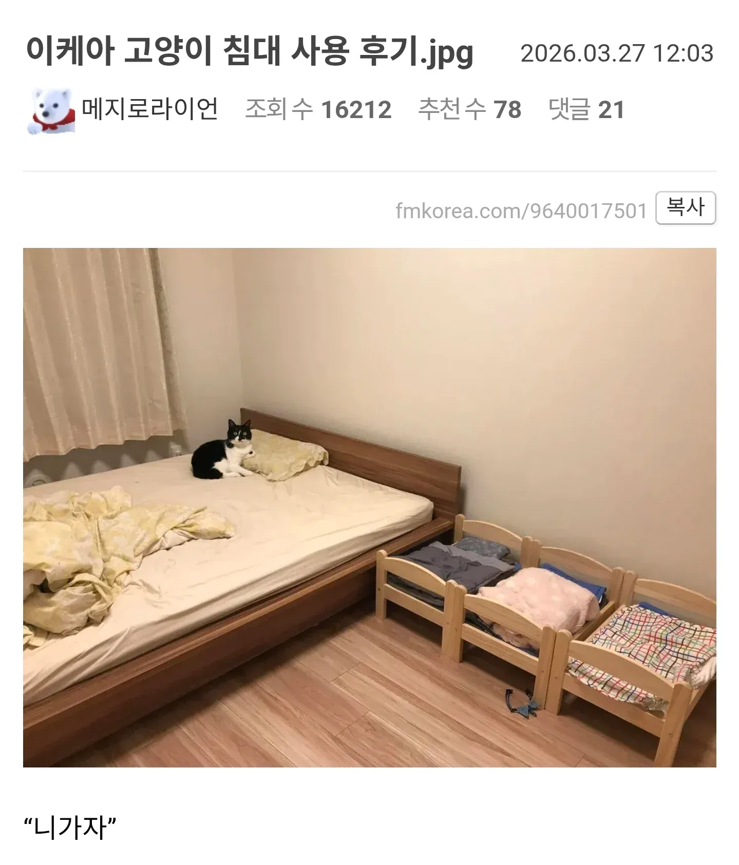 이케아 고양이 침대 첫 사용 후기