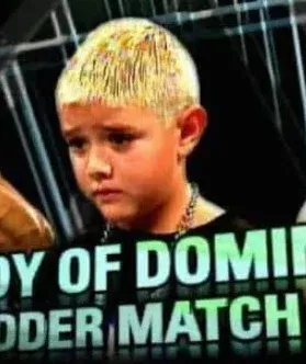 WWE 래더 매치 포스터, 2003~2006년 야만의 시대