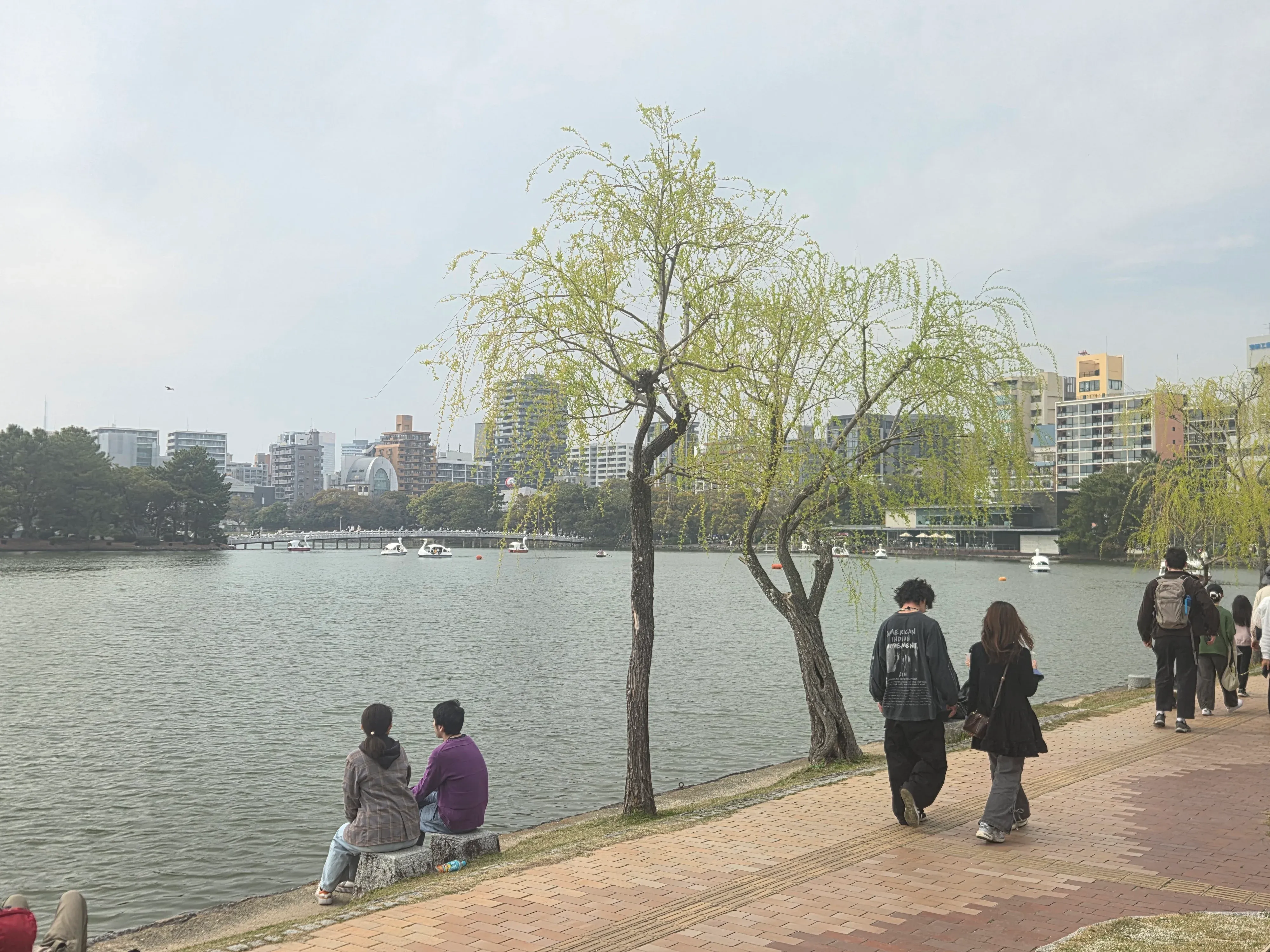 일본 여행 중 촬영한 벚꽃 풍경