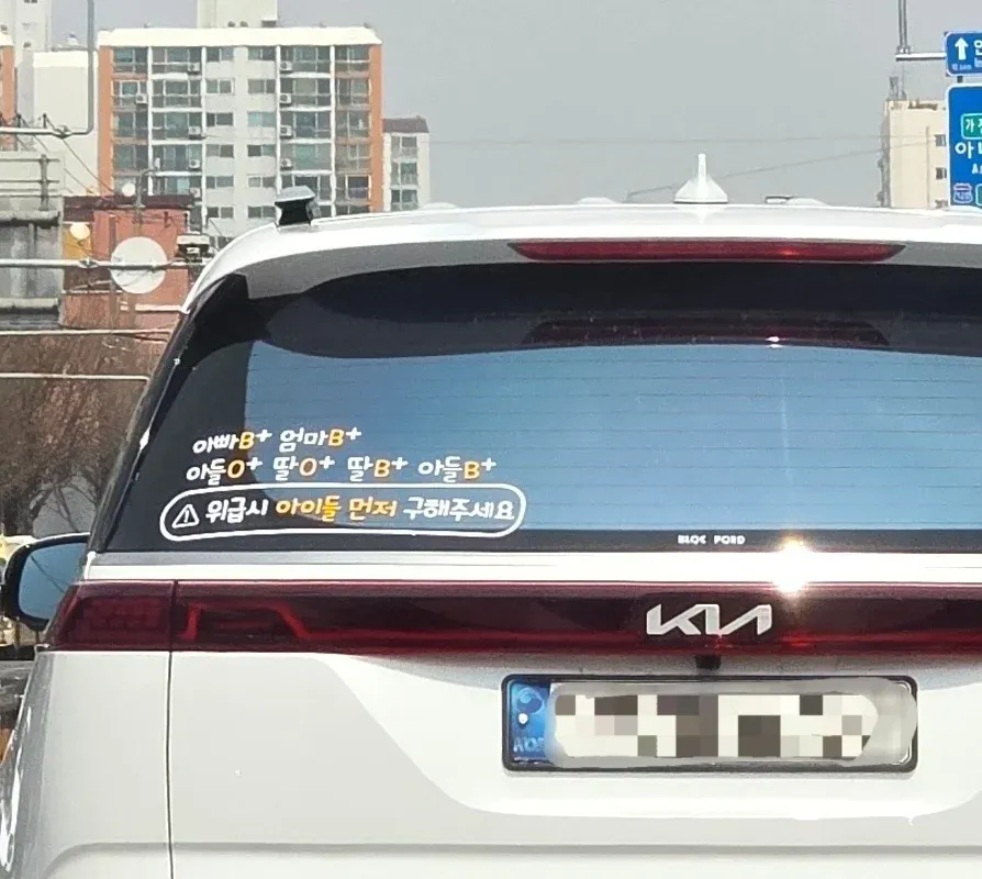 혈액형이 표시된 가족 카니발, 아이 먼저 구출 경고 이미지