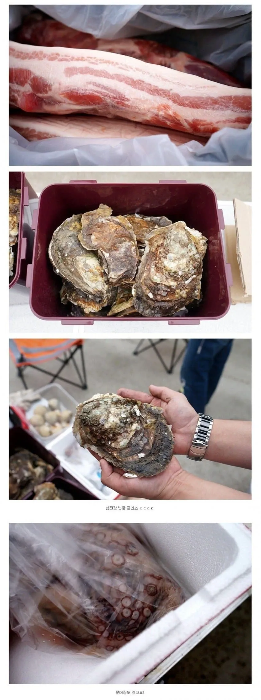 루리웹 숯불구이 등급 비교표