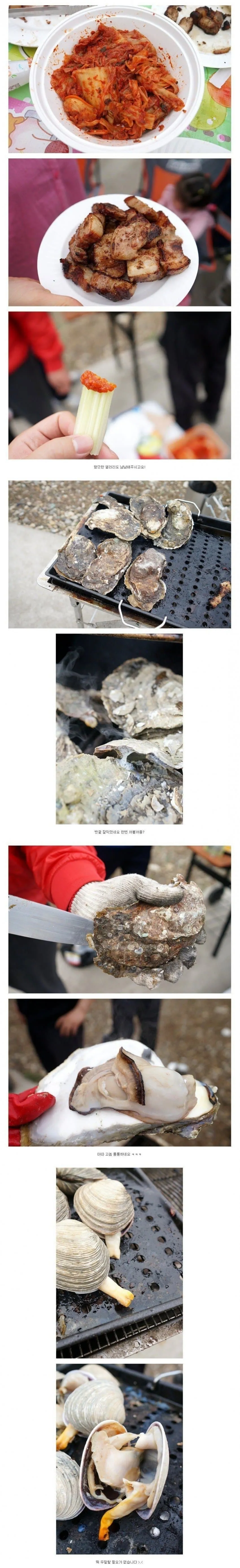 루리웹 숯불구이 클래스 댓글 스크린샷