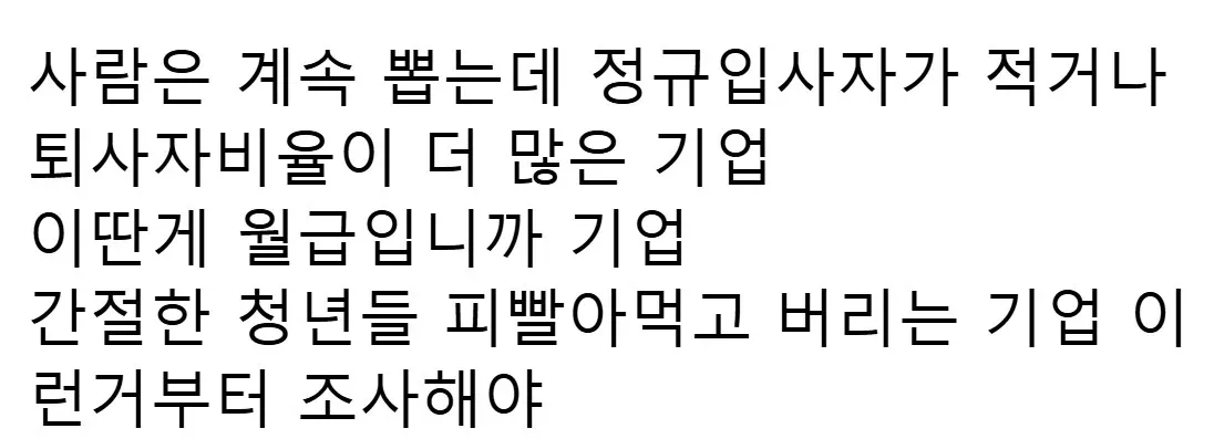정규직 채용 부족과 청년 착취 기업 관행을 비판하는 댓글