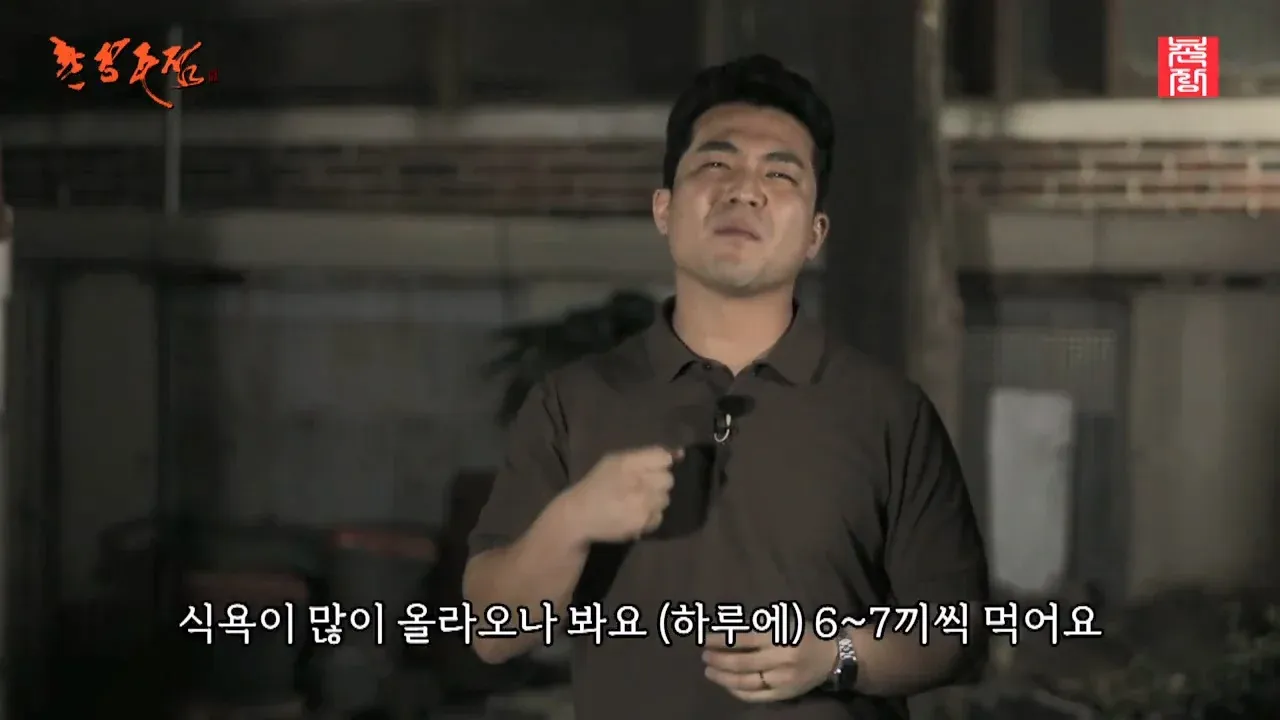 담배를 끊으니 하루 6~7끼를 먹게 된 근황