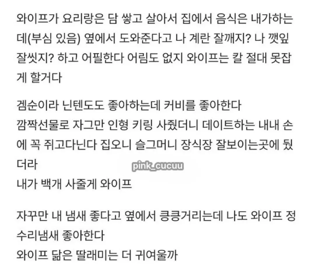 요리 잘하는 남편과 커비 인형을 소중히 여기며 곁에 있는 아내를 사랑하는 일상 이야기