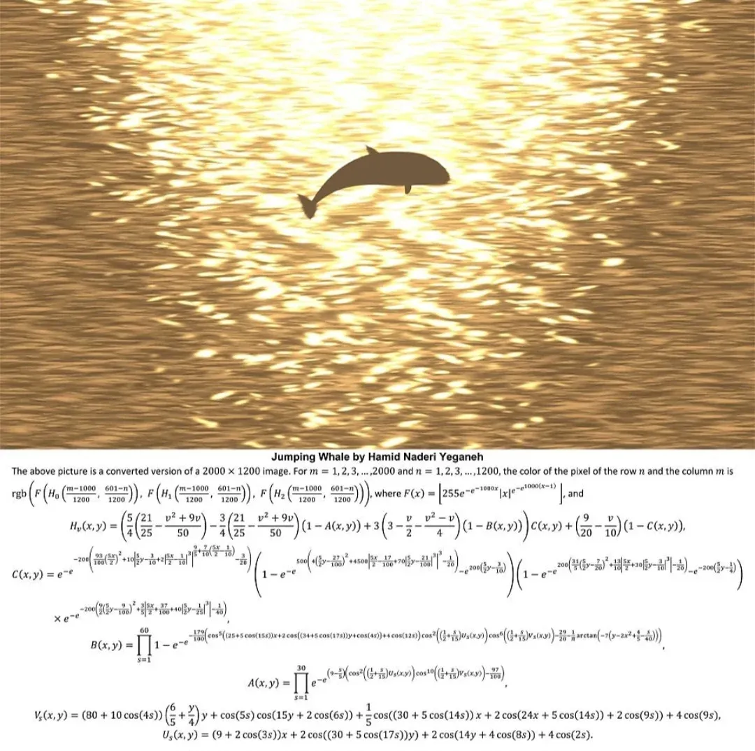 수학 함수로 생성된 혹등고래 이미지, 수학과 졸업작품