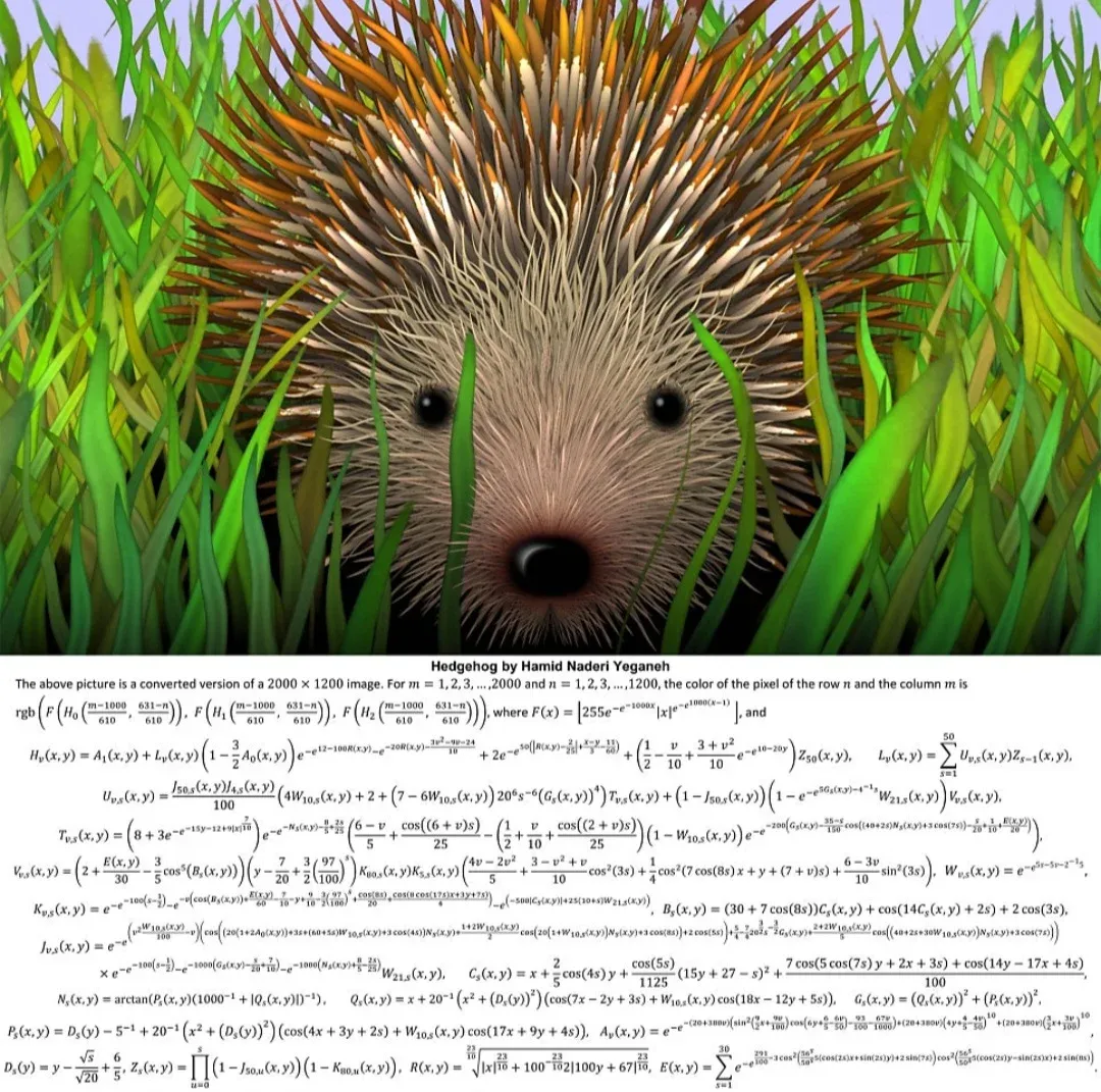 Hiroshi Tanaka Hayashi의 고슴도치, 수학과 졸업작품