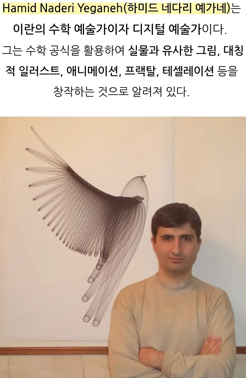 수학 공식으로 창작한 하미드 네더리의 실물 같은 디지털 아트