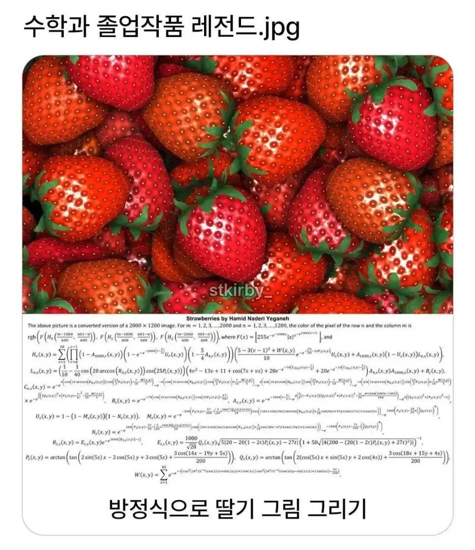 딸기를 수학 방정식으로 표현한 졸업작품