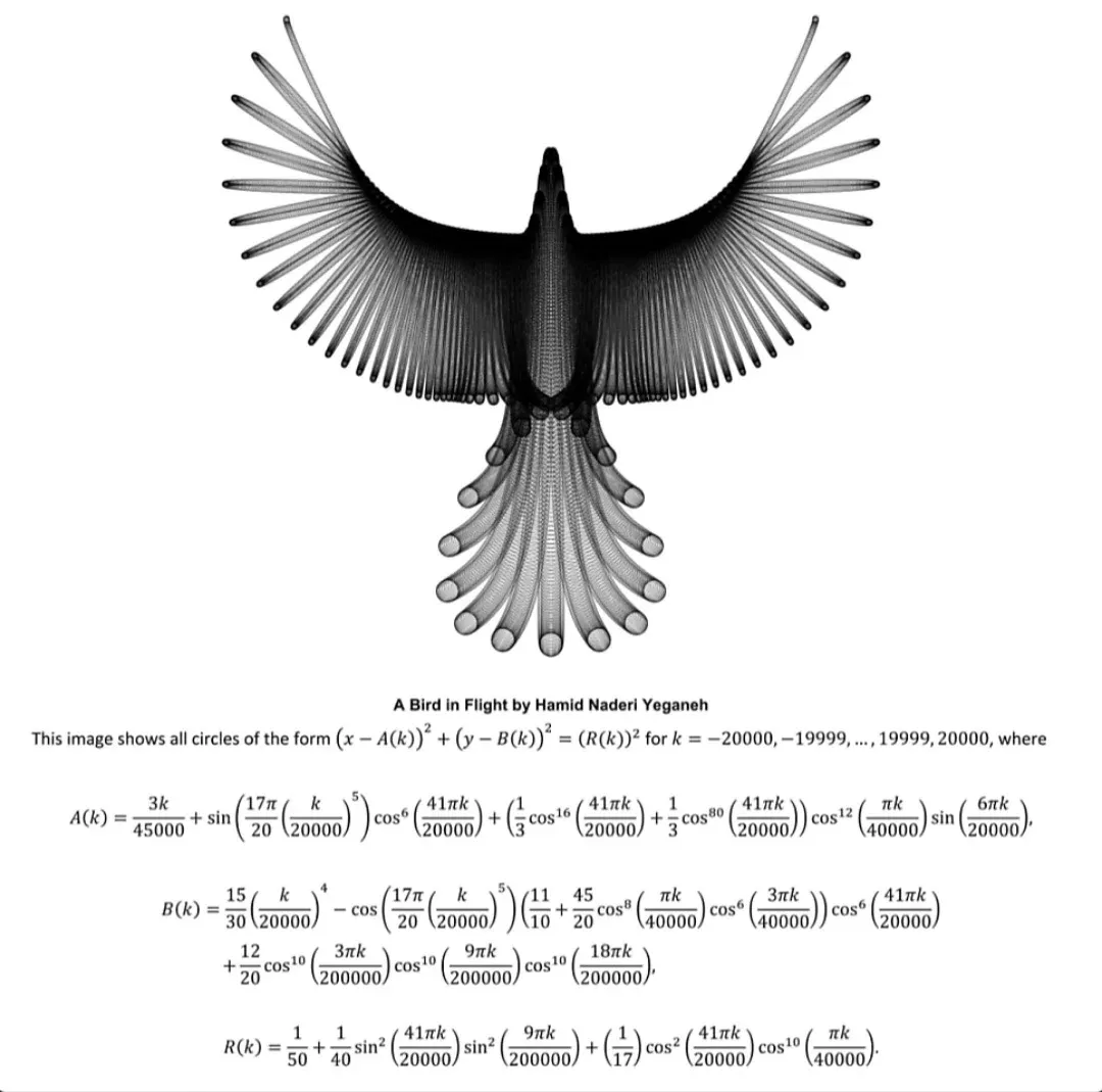 수학 공식으로 표현한 날아가는 새 그림, 수학과 졸업작품